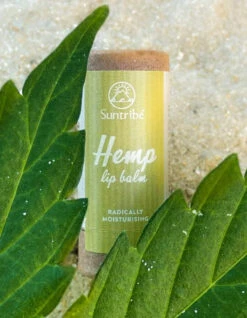 SUNTRIBE NATURAL HEMP LIP BALM MOISTURE -Surfcorner Store suntribe balsamo per labbra biologico alla canapa 3